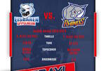 Die Eisbären starten in die neue Spielzeit